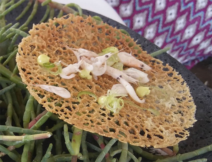Cosasdecome's tweet photo. Subida a las alturas de una corvina con chícharos. Así es el menú degustación de la nueva temporada de @Aponiente https://t.co/8PSHBApRNw https://t.co/Wp1dEcFMYe