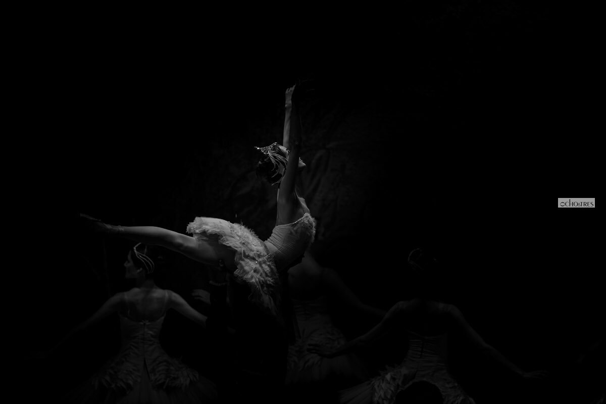 ochoytres's tweet image. My latest photography serie | Odette, The Tragic Heroine ochoytres.com/portfolio/odet… #ballet #Valladolid #Tchaikovsky