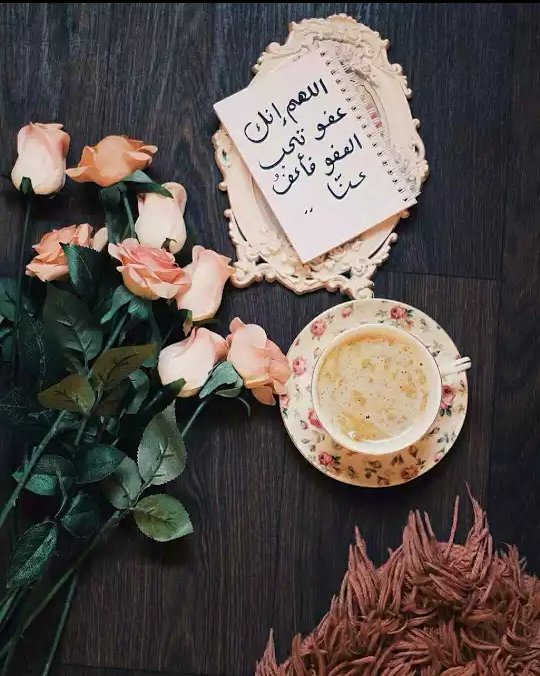 n___salaaah's tweet photo. اصبحنــا وأصــبح المـلگ لله 🌹💕 https://t.co/R9XBJcD7n3