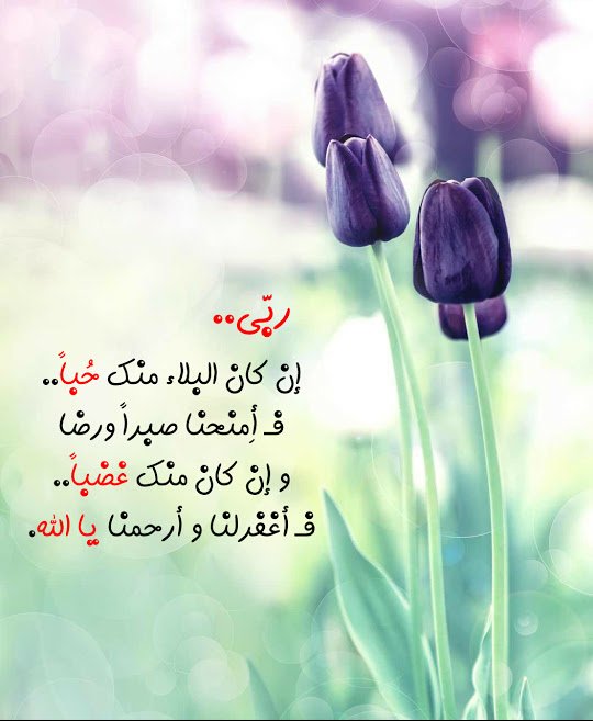 n___salaaah's tweet photo. آآمـــيــن يـــآرب ..... https://t.co/0sqAl5zbv6