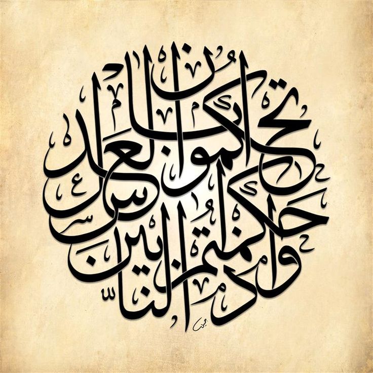 Ziyad Baroud tweet media