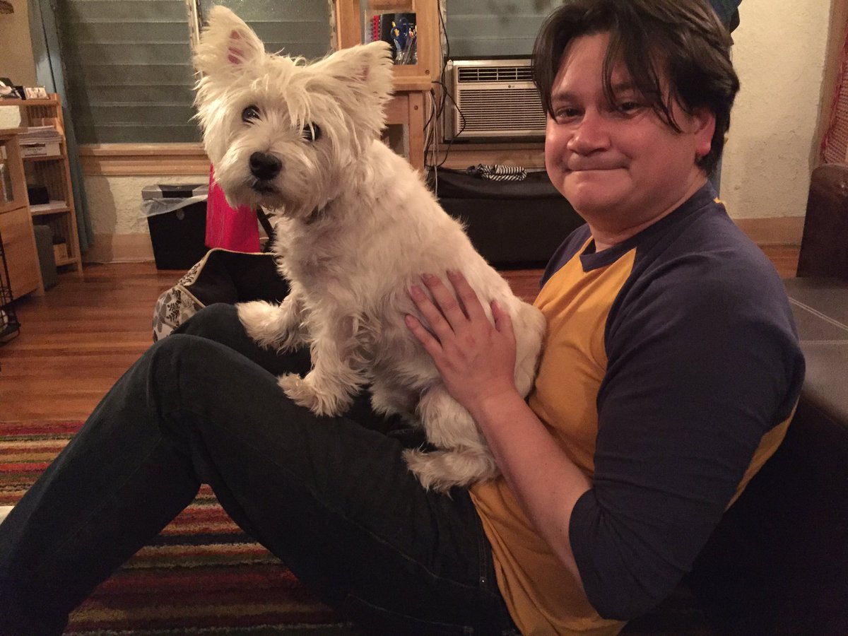 BrendaKate's tweet photo. #westie #westielove #daddysbabe #mamasbabe #lovemydog #thatdamnface #stupidface #westitude #doggies #doggylove https://t.co/7fULGfL94Z