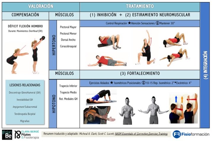 📍Compensaciones de Movimiento 🔎#Hombro #Raquis 

1⃣ Déficit Flexión Hombro

🔻Posibles Disfunciones Musculares
🔻Pautas Generales de Abordaje