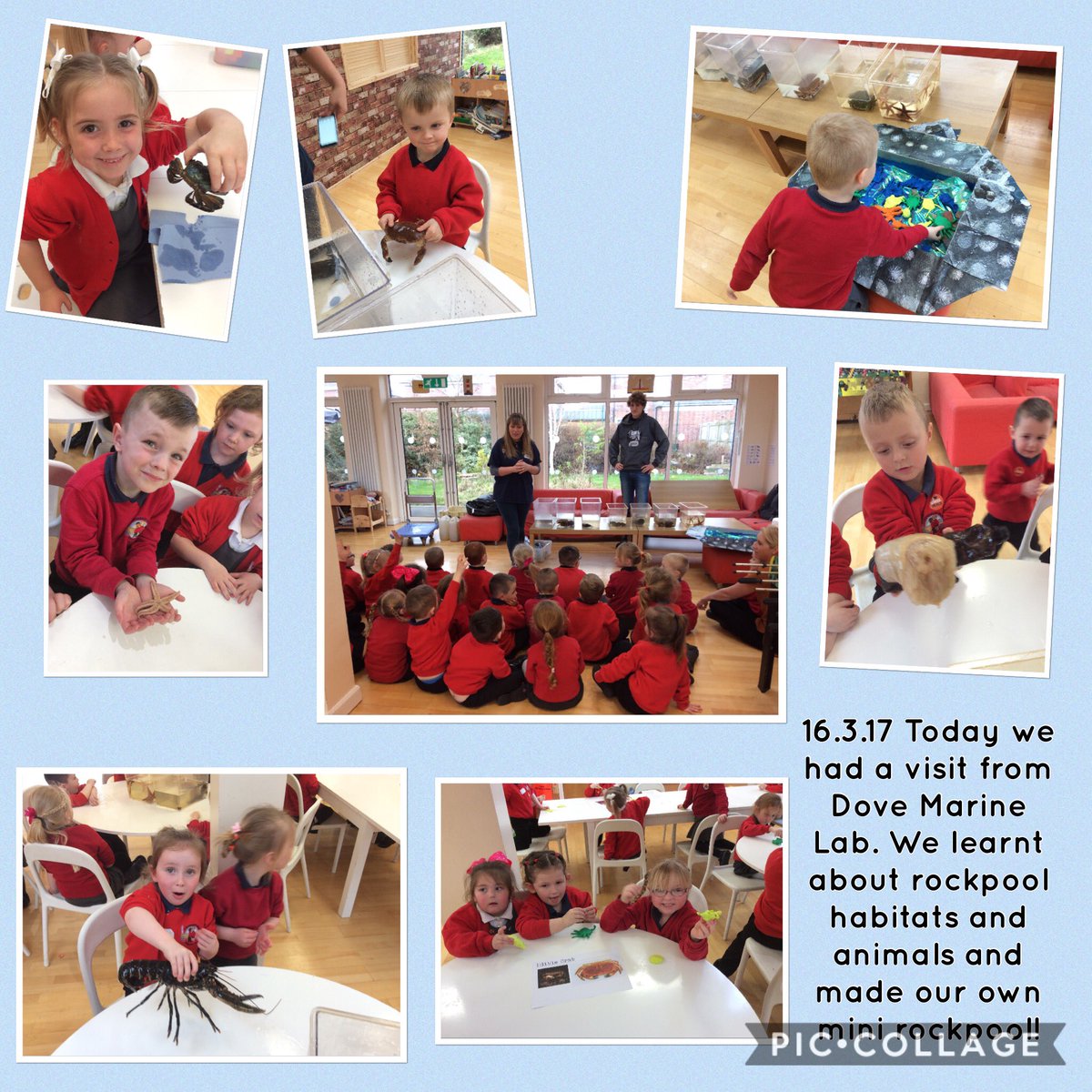 Rachael Mckendry (@rmckendry_smps) on Twitter photo Reception enjoyed learning about rockpool animals and habitats! #BritishScienceWeek <a href="/SMEYCentre/">Stephenson Memorial</a> <a href="/SMemorial/">Stephenson Memorial</a> <a href="/NCLDoveMarine/">NCL Dove Marine Lab</a> Reception enjoyed learning about rockpool animals and habitats! #BritishScienceWeek <a href="/SMEYCentre/">Stephenson Memorial</a> <a href="/SMemorial/">Stephenson Memorial</a> <a href="/NCLDoveMarine/">NCL Dove Marine Lab</a>