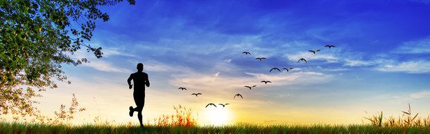 viabiona's tweet image. #Brennnessel erfolgreich bei gutartiger Vergrößerung der #Prostata und zum Erhalt gesunder #Testosteron-Werte: facebook.com/ViaBiona/posts…