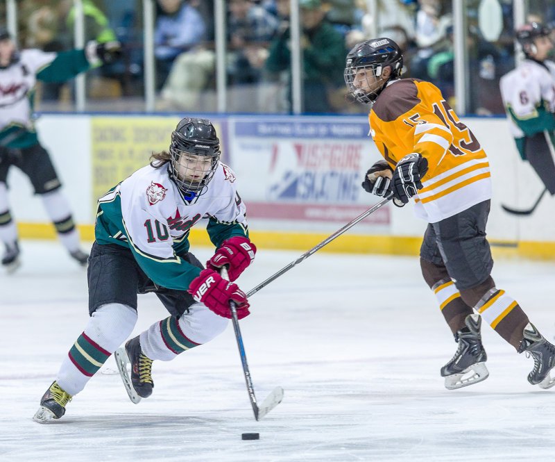 NJ.com's 2016-17 All-State ice hockey: 3rd Team #njhockey s.nj.com/E0ffkIC