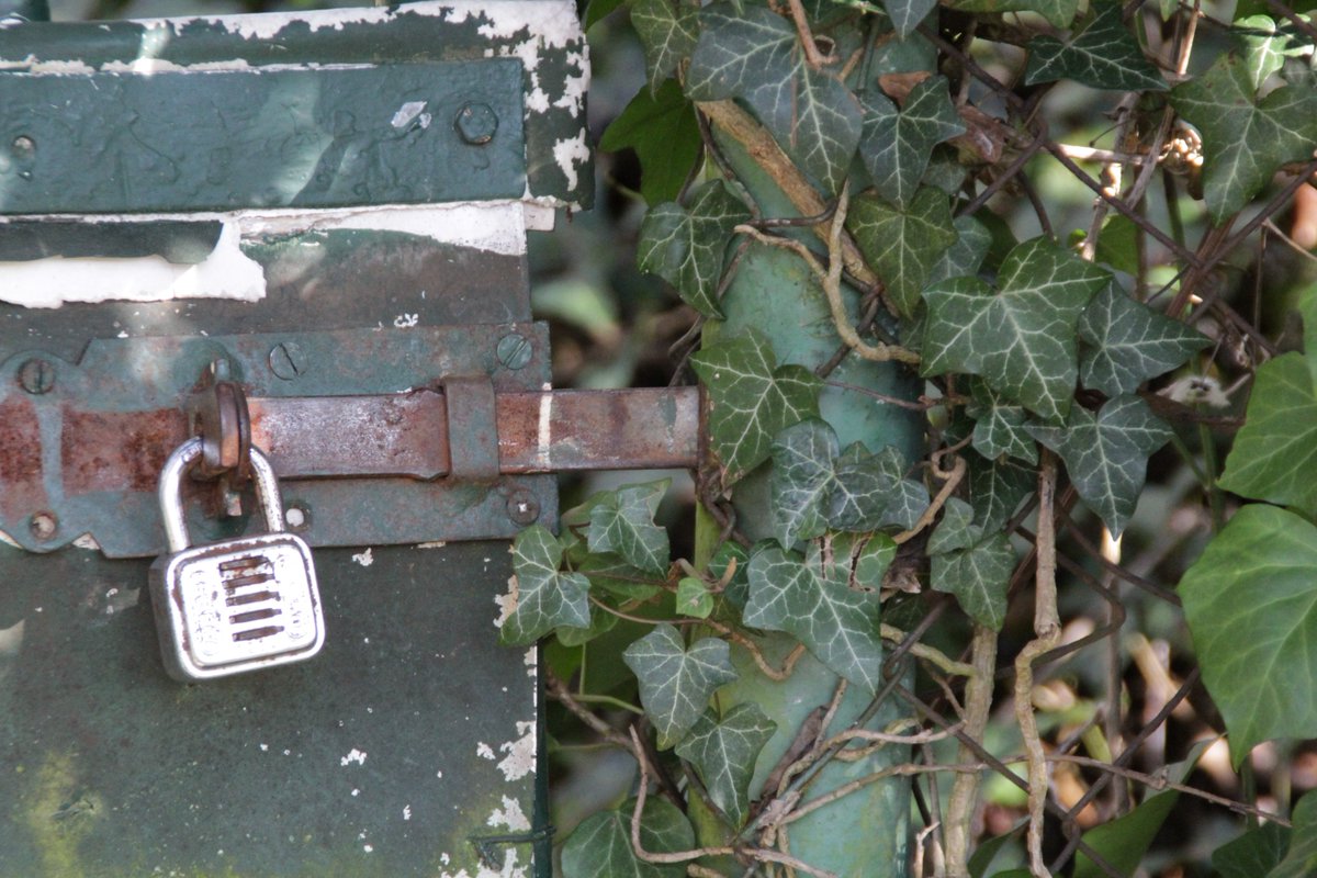 DancingPolygon's tweet image. tmblr.co/Zb5tei2JdyH-F  -  //Dancing Polygon #photography #atmosphere #nature #light