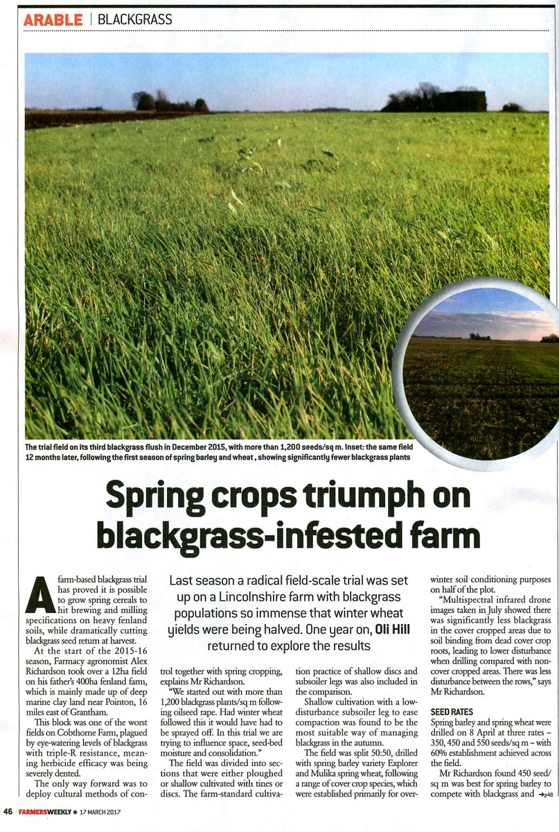 Alex Richardson's field scale trials, dramatic results on #blackgrass control? bit.ly/2n5GwNC