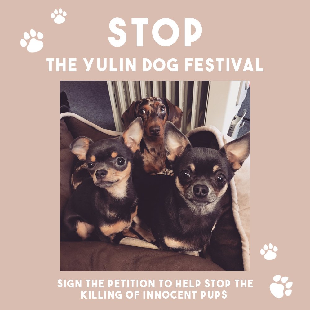 HOTMESSCLOTHES's tweet photo. Join us and say NO to the Yulin Dog Meat Festival in China! Sign here to help stop this unspeakable cruelty to dogs >https://t.co/Eypp2FjysX https://t.co/oAbUX14eVP
