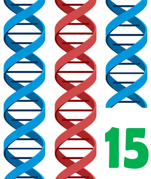 Lineamadrid's tweet image. ¡Buenos días!
Último fin de semana para colaborar en el Mercado solidario para investigación 🔬 del #invdup15q
👉 goo.gl/eVaVvi
#TEA