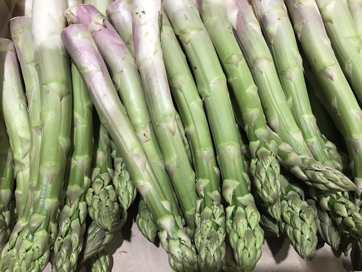 Delish green jumbo asparagus! @oakleafeuropean
