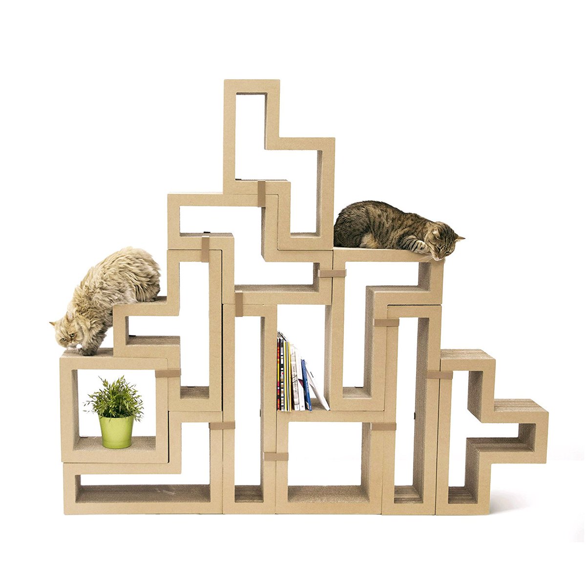 jeffshivers's tweet photo. Get the hgih quality cat tower at very reaosnable price. Visit here: https://t.co/nUIHpL9sqQ #qualitycattower #cattower https://t.co/cBYE6iPhJF