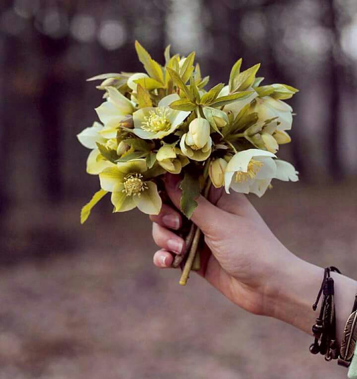 #دعاء_الندبة

ليتَ شِعري أينَ استقرت بِكَ النوى..
بل أي أرضٍ تقلك أو ثرى؟
أبرضوى أو غيرها أو ذي طوى..
عزيزٌ عليّ أن أرى الخلق ولا تُرى