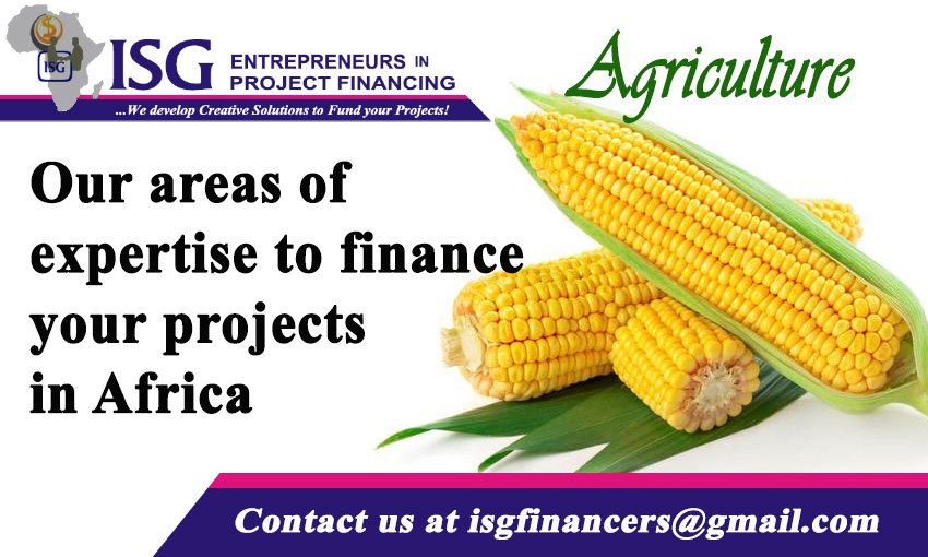 ISG_Financers's tweet photo. The correlation between poverty and obesity can be traced to agricultural policies and subsidies. https://t.co/br6L56BnZw