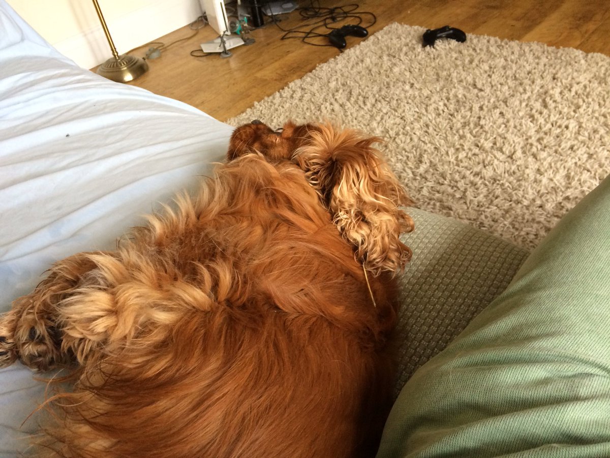 Happy #WorldSleepDay!