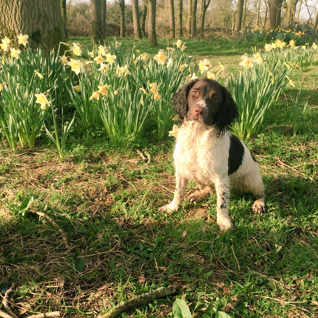 The Old Stables tweet media