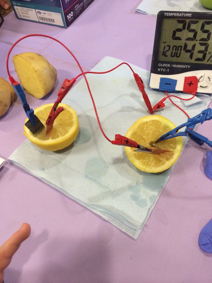 LorrayneASmith's tweet photo. "How do lemons make power?" was today's school run conversation looking back at 2016's @sotsef day. Can't wait for tomorrow. #womeninstem https://t.co/RhGc68ZEQB