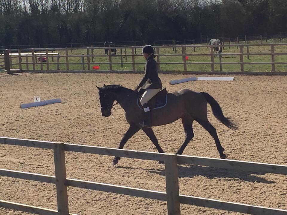 OB_Equestrian's tweet photo. 🐴Varsity 2017🐴 A very close match with the win going to @UOR_RC ! Also well done to Alicia - 1st and Anna -2nd 🐴 https://t.co/vUP05YYaZ0