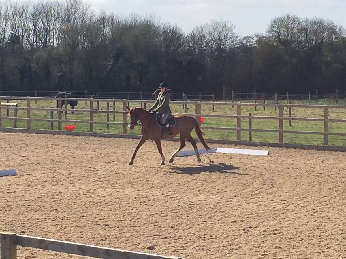 OB_Equestrian's tweet photo. 🐴Varsity 2017🐴 A very close match with the win going to @UOR_RC ! Also well done to Alicia - 1st and Anna -2nd 🐴 https://t.co/vUP05YYaZ0