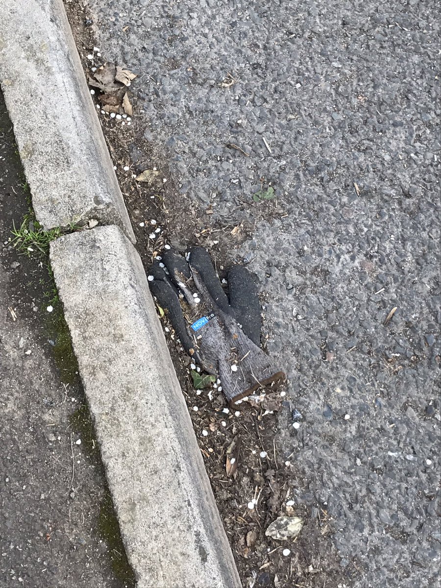 GloveDrop's tweet photo. A badly decomposed #glovedrop https://t.co/PVbvPlhMwb