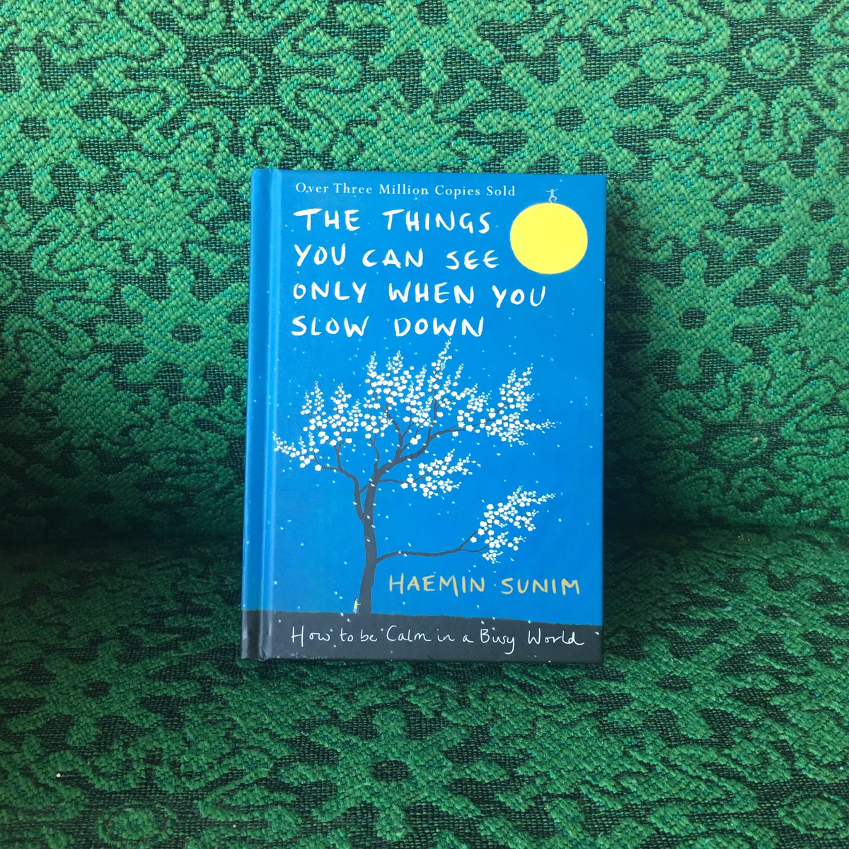 An inspiring talk from <a href="/haeminsunim/">Haeminsunim</a> 🙏🏼 - "Eat slower because you will then notice more of the flavour &amp; connect with your food better."