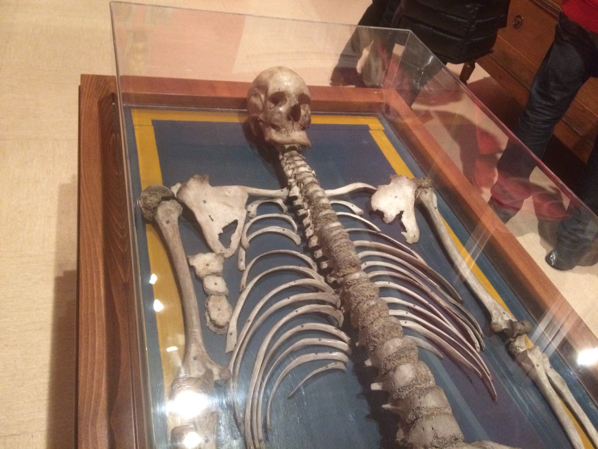 Unsereno's tweet photo. La historia del 'Gigante extremeño' que habita desde 1875 en un museo de Madrid https://t.co/a0rI82w7ik https://t.co/b5COJpUhBA