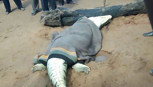 Посмотреть изображение в Твиттере Посмотреть изображение в Твиттере