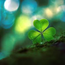 alicemooney14's tweet photo. Very happy #StPatricksDaywishes to one and all x https://t.co/xZnz0CnpBq