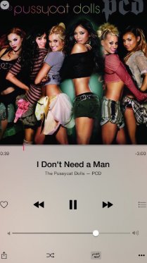 FanFishman's tweet image. @TalFishman_