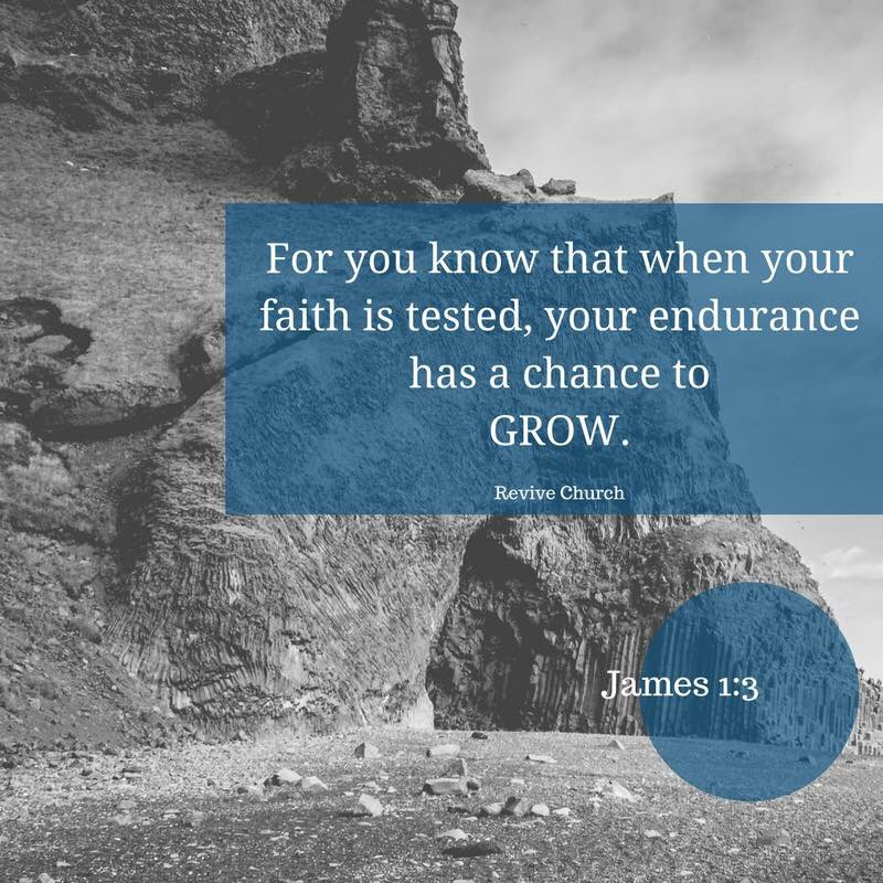 TheReviveChurch's tweet photo. Turn our hardships into times of learning. Tough times can teach us endurance. #ReviveChurch #TruthMinistries https://t.co/CbkAtMb0Hh