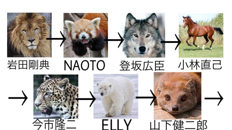 三代目を動物に例えると