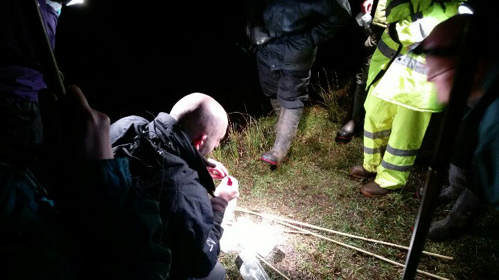 SKEnvironmental's tweet photo. We joined up with Neil Madden &amp; his team of ecologists from @ArcadisUK for a pre-season newt refresher/training session #GCN #newts #ecology https://t.co/ty3bbkOGPK