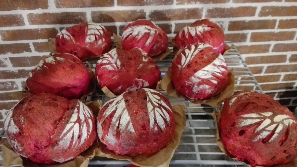 JoseRoldan_T's tweet photo. 📸 ¡No tienen mala pinta no! #CursoPráctico #Panadería #FUNDACIÓNCARHUE https://t.co/9WIHUW3pgu