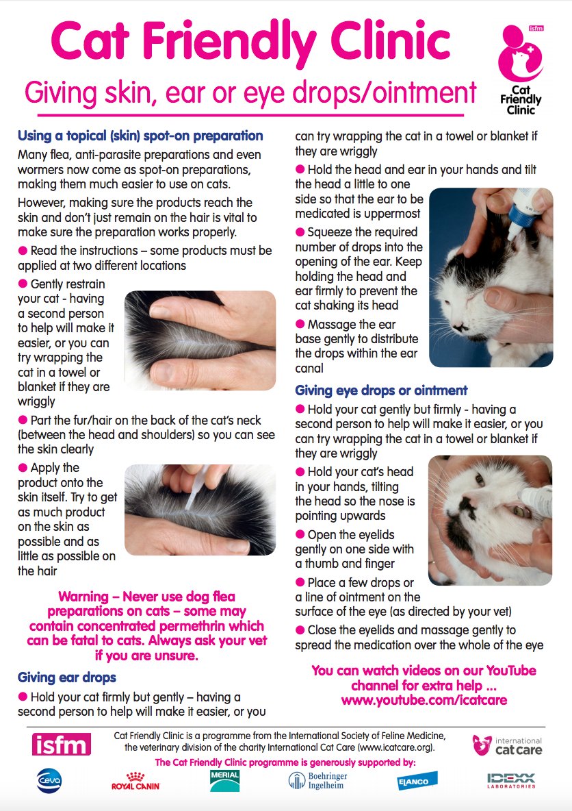 How To Give Cat Ear Drops Video - toxoplasmosis