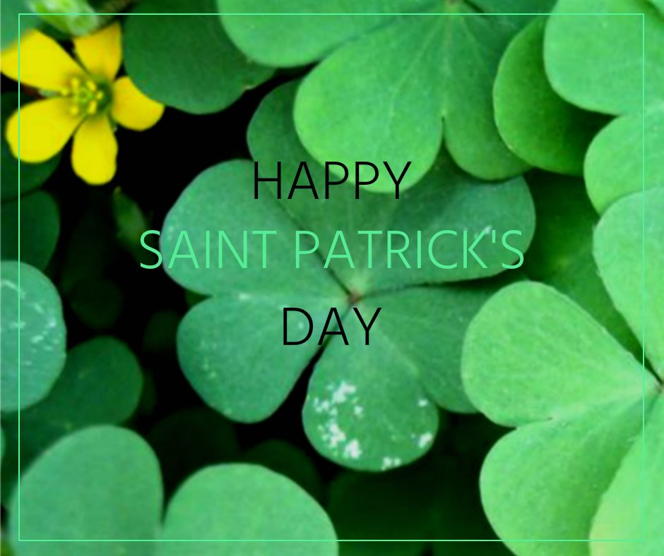 Happy St. Patrick's Day! Enjoy your not so typical Saturday, and whip of some green eggs and ham.
