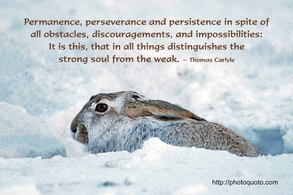 susaniverson1's tweet photo. #grit #survivePhD #perserverance #wisdom #highered #SAPro #StudentAffairs #SAProDevo #ThinkBIGSundayWithMarsha https://t.co/V7al5tUAjU