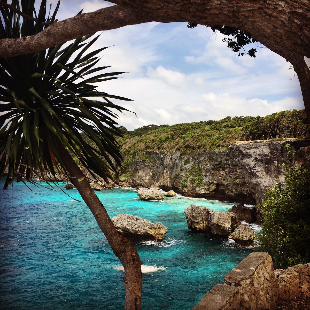 L’Indonésie en France tweet media