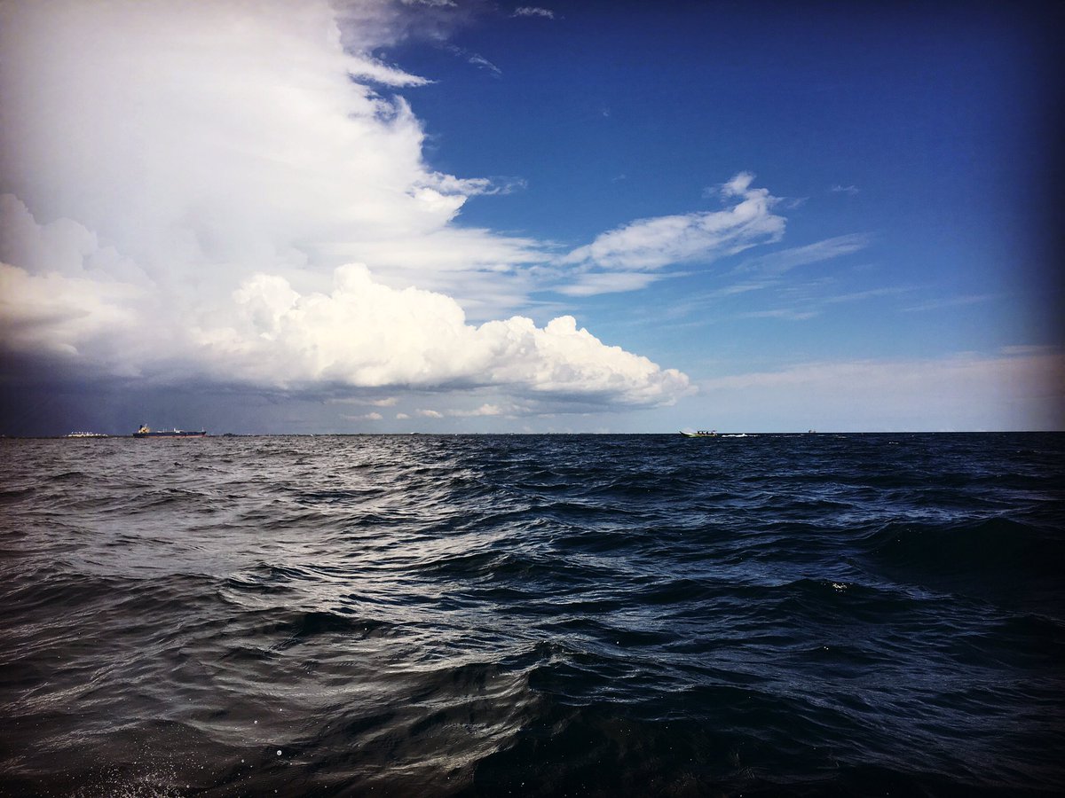 L’Indonésie en France tweet media