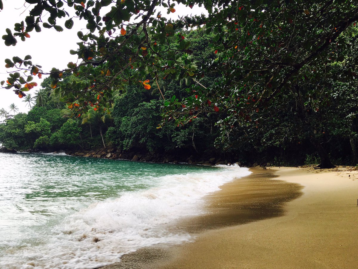 L’Indonésie en France tweet media