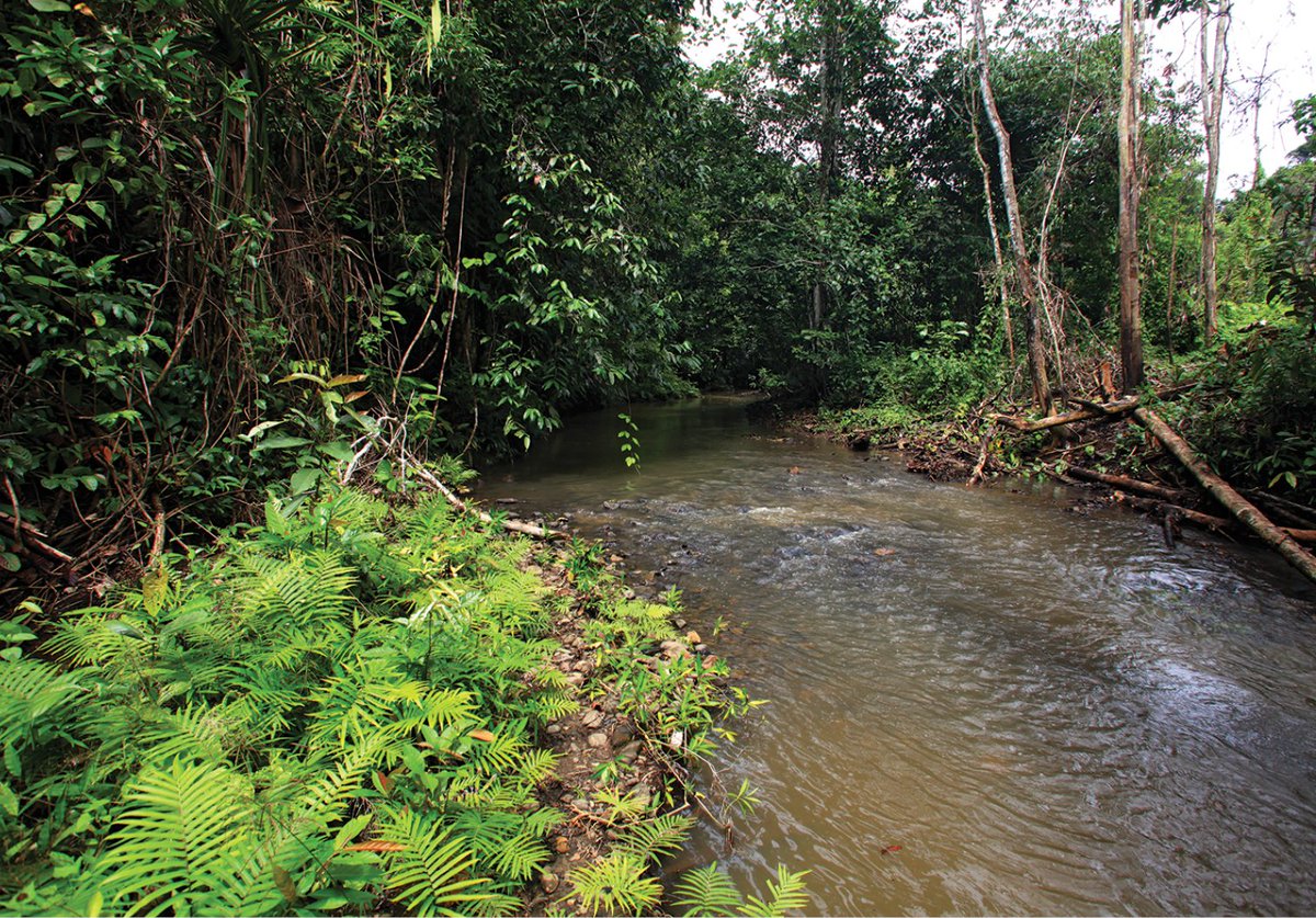 ドベライ半島 Bird's Head Peninsula JapaneseClass.jp