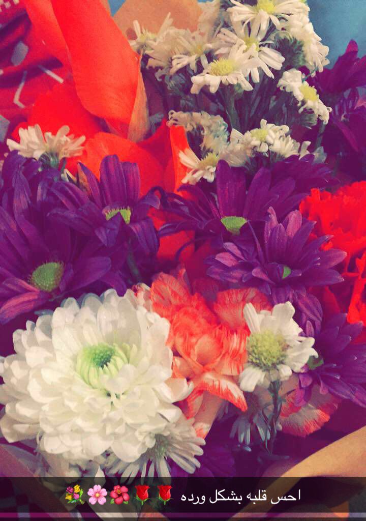 #شلون_ماحبه
احس قلبه بشكل وردة🌸💐🌺💜💜💜❤😍@Abdulazizluies