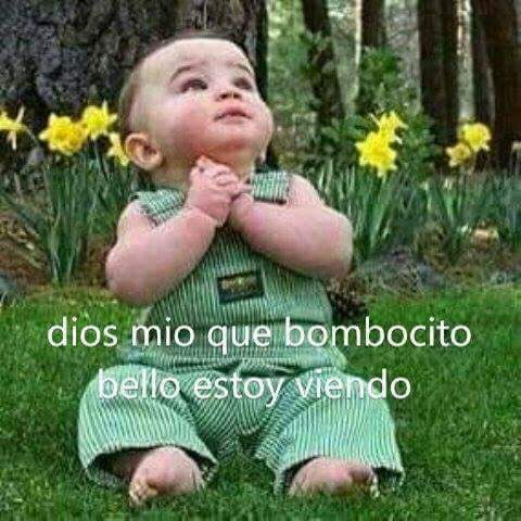 🌷🌷🌷🌷