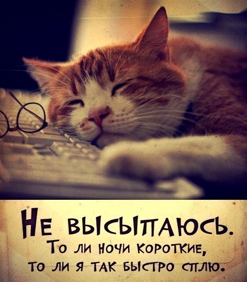 Сегодня всемирный день сна! ПоЗДраВЛяЮ!