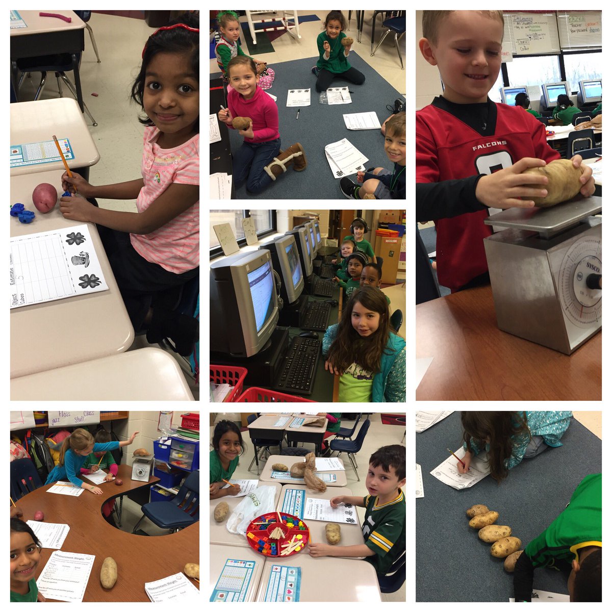 CAjackson23's tweet photo. Happy St. Patrick's Day! Celebrating by potato measuring centers! Our biggest potato weighed 1lb! #sharonstrong https://t.co/Oj7C333ScD