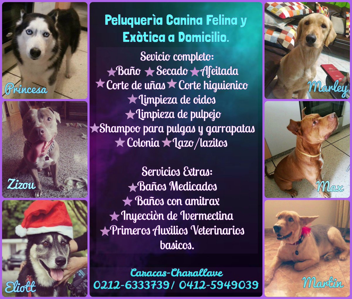 SalvAngs's tweet photo. PELUQUERÍA CANINA, FELINA Y EXÓTICA A DOMICILIO!!! 
 Info: 0412-5949039/ 0412-3868005/ 0212-6333739
CARACAS-CHARALLAVE @esdongato https://t.co/hfXZcOXfLB