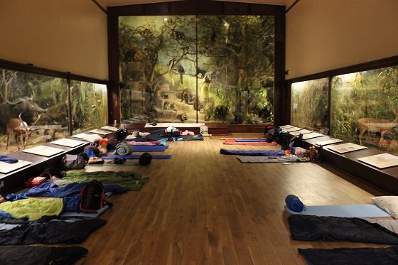 Museums at Night tweet media