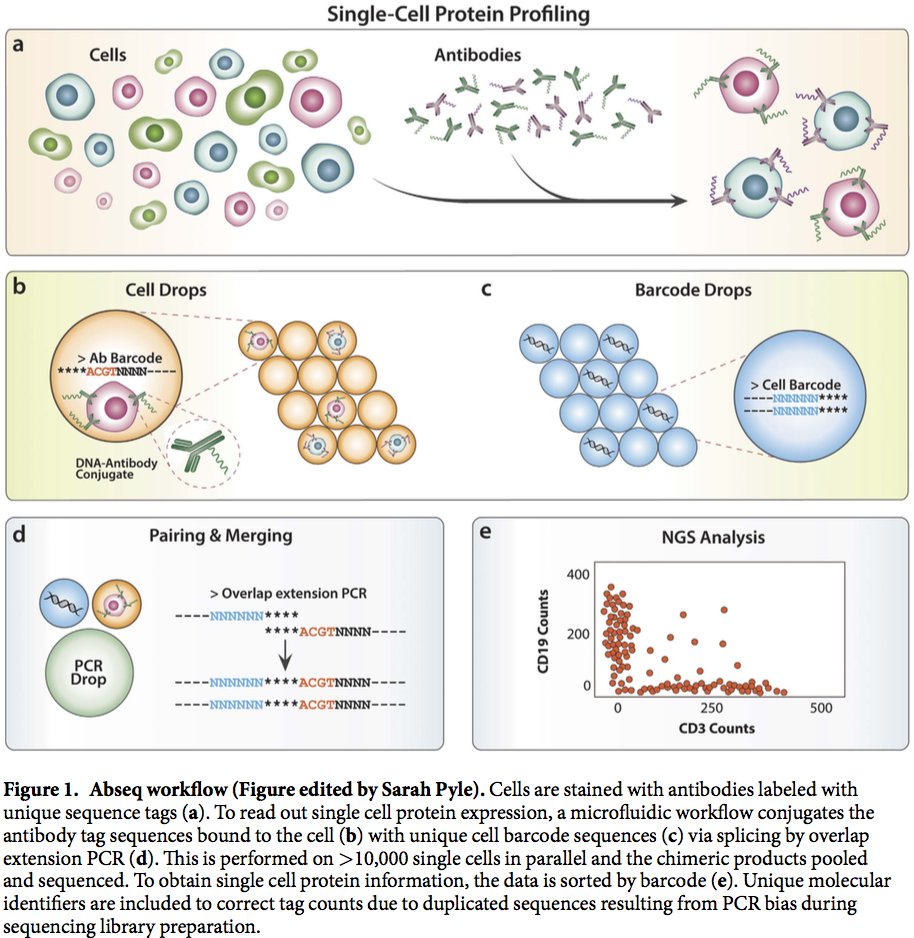 lmwebr's tweet image. Abseq: like flow/mass cytometry but using DNA to tag antibodies; much higher dimensionality. This is really cool! nature.com/articles/srep4…