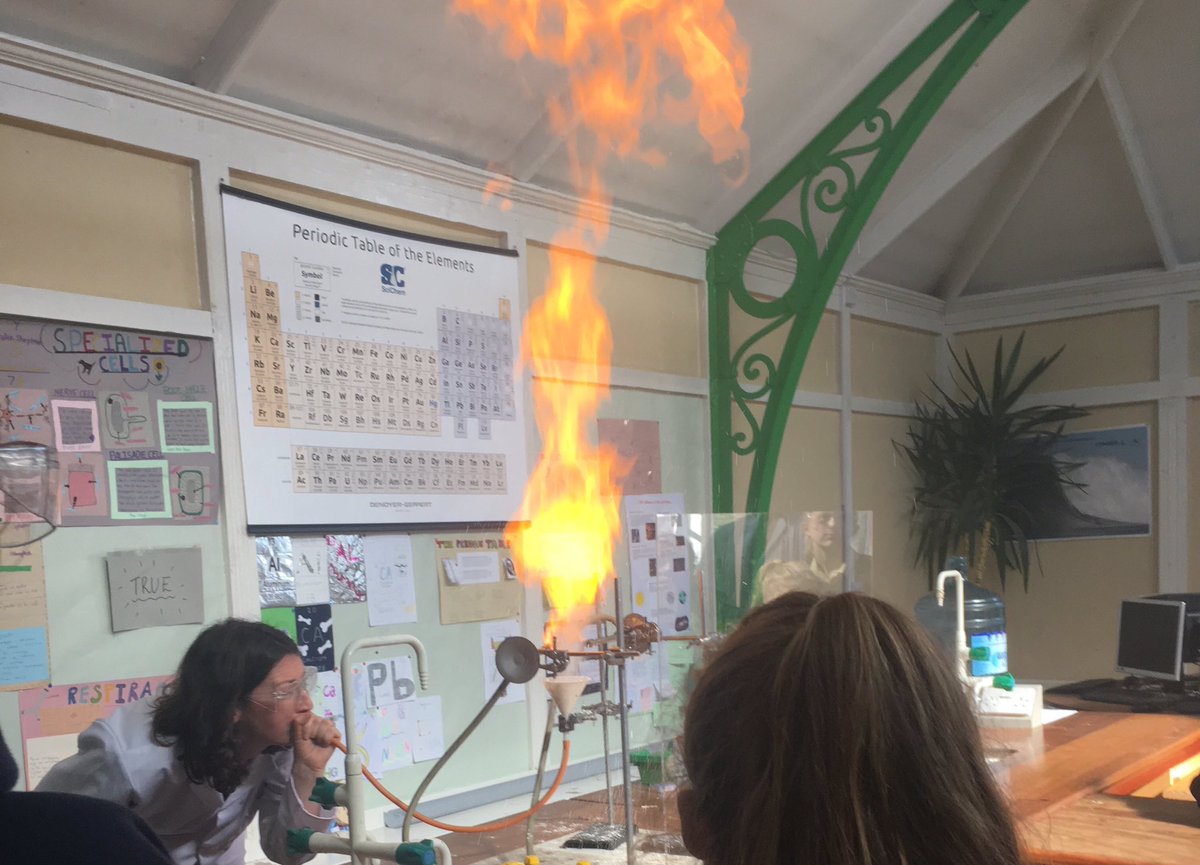 StGabrielsNews's tweet image. #DemoDay17 #BritishScienceWeek flamingly good lessons