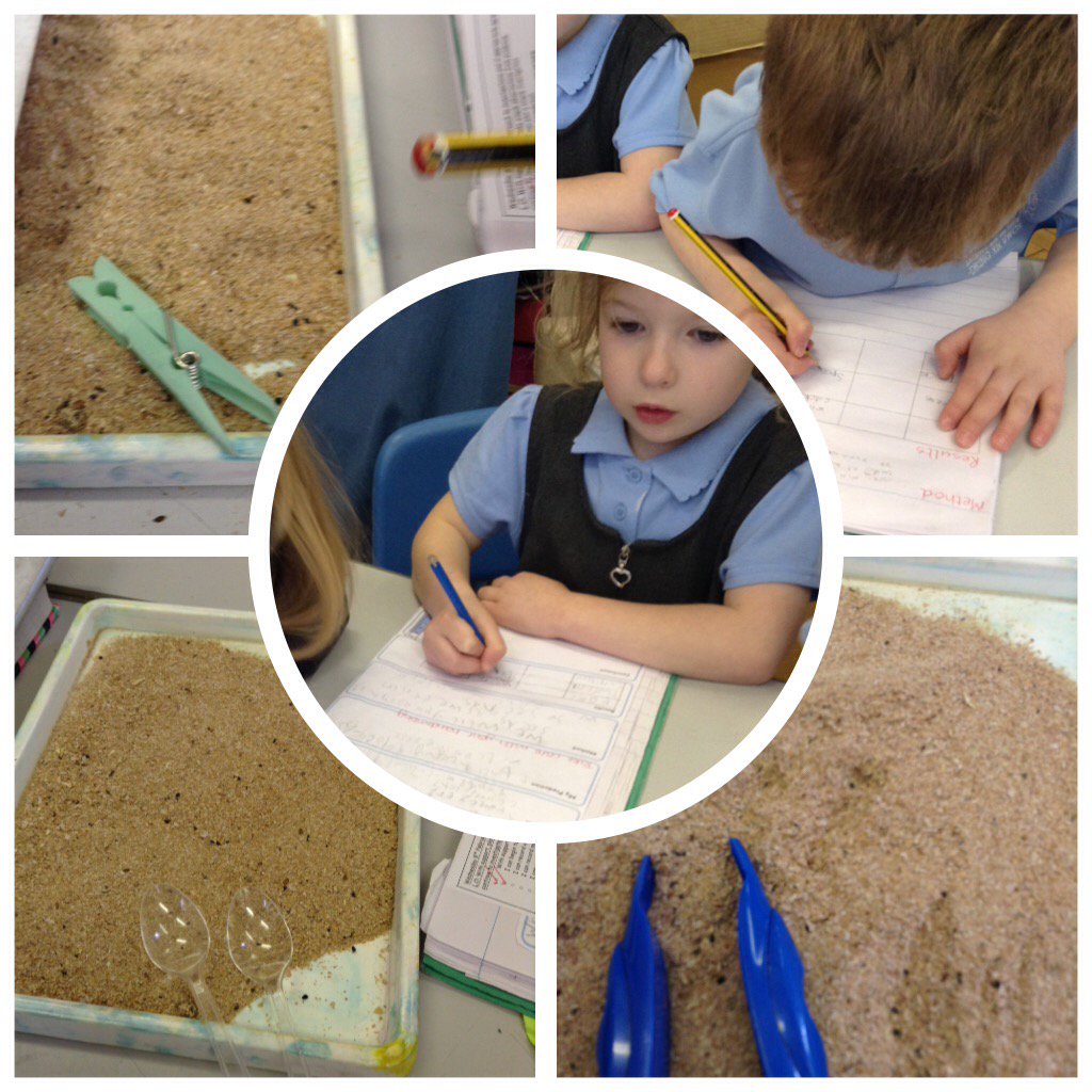 llanganprimary's tweet photo. #DylluanEira16 have been investigating which shape beak would be the best for a Canary bird #britishscienceweek2017 https://t.co/jzh0tSp3vZ