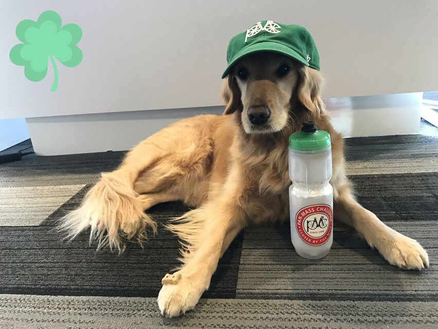 Pan-Mass Challenge tweet media